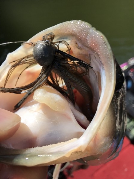 hideup 松本泰明 ブログ写真 2018/10/17