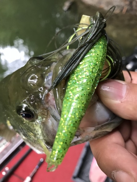 hideup 松本泰明 ブログ写真 2018/10/17