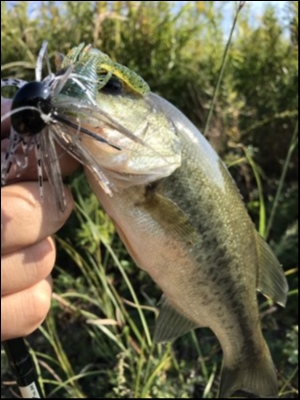 hideup 松本泰明 ブログ写真 2018/10/19