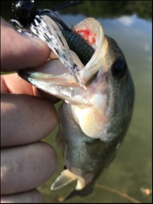 hideup 松本泰明 ブログ写真 2018/10/19