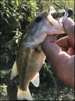 hideup 松本泰明 ブログ写真 2018/10/19