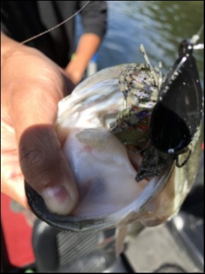 hideup &aelig;&frac34;&aelig;&not;&aelig;&sup3;&deg;&aelig; &atilde;&atilde;&shy;&atilde;&deg;&aring;&ccedil; 2018/10/27