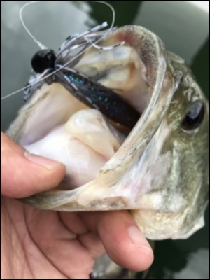 hideup 松本泰明 ブログ写真 2018/10/27