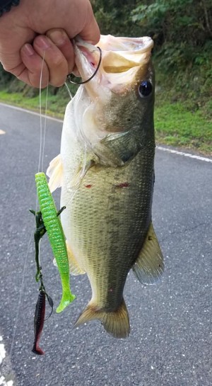 hideup 松本泰明 ブログ写真 2018/11/11