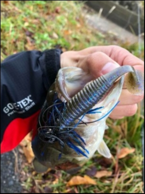 hideup 松本泰明 ブログ写真 2018/11/24