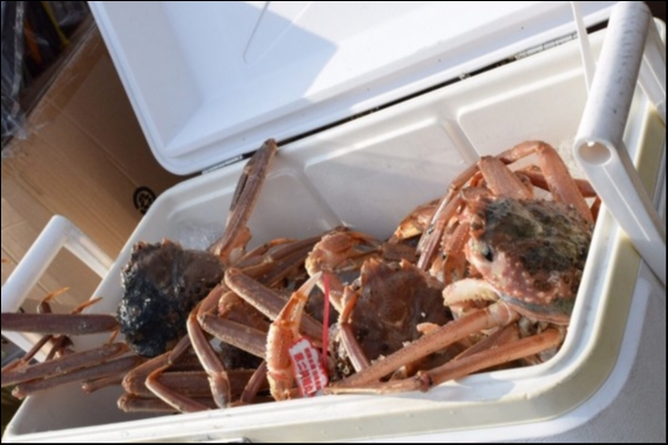 hideup 松本泰明 ブログ写真 2018/11/26