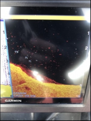 hideup 松本泰明 ブログ写真 2018/11/26