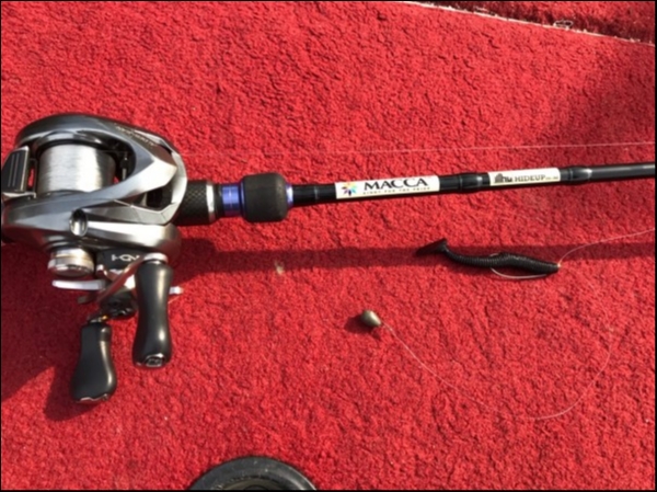 hideup æ¾æ¬æ³°æ ããã°åç 2018/11/26