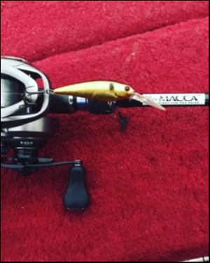 hideup 松本泰明 ブログ写真 2018/11/26