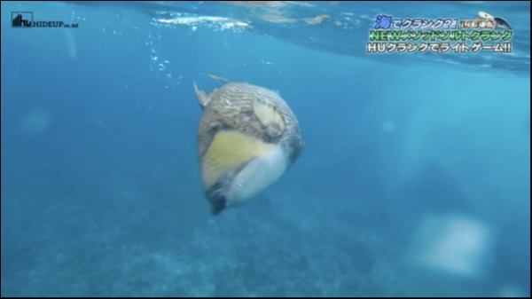 hideup 松本泰明 ブログ写真 2018/12/12