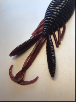 hideup 松本泰明 ブログ写真 2019/02/10