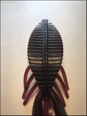 hideup 松本泰明 ブログ写真 2019/02/10