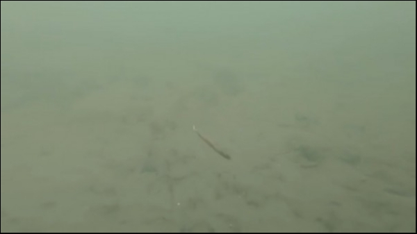 hideup 松本泰明 ブログ写真 2019/03/04