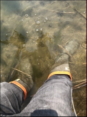 hideup 松本泰明 ブログ写真 2019/03/18