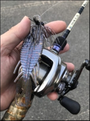 hideup 松本泰明 ブログ写真 2019/03/18