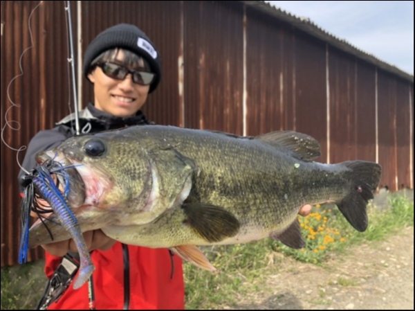 hideup 松本泰明 ブログ写真 2019/04/06