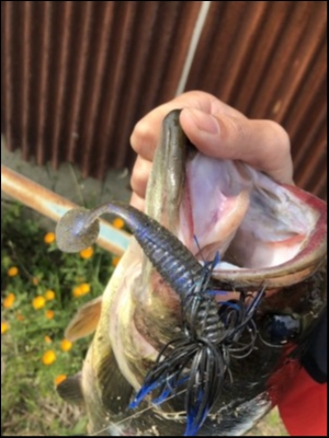 hideup 松本泰明 ブログ写真 2019/04/06