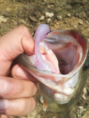 hideup 松本泰明 ブログ写真 2019/04/06