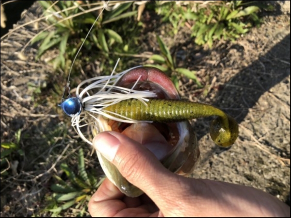 hideup 松本泰明 ブログ写真 2019/04/06