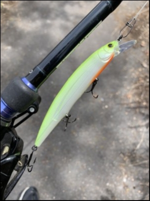 hideup 松本泰明 ブログ写真 2019/04/19