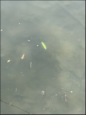 hideup 松本泰明 ブログ写真 2019/04/19