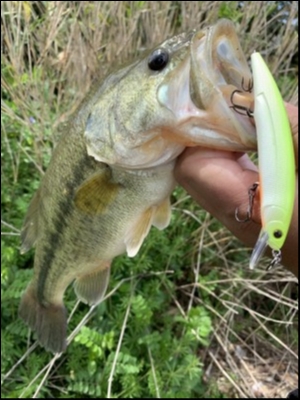 hideup 松本泰明 ブログ写真 2019/04/19