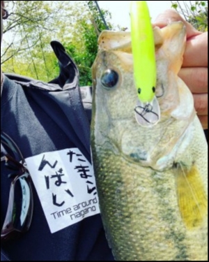 hideup 松本泰明 ブログ写真 2019/04/19