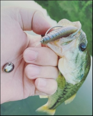 hideup 松本泰明 ブログ写真 2019/05/12