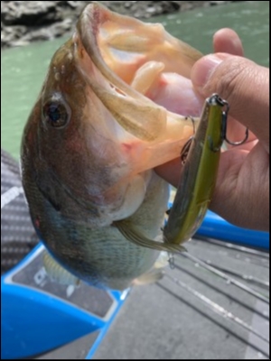 hideup 松本泰明 ブログ写真 2019/05/23