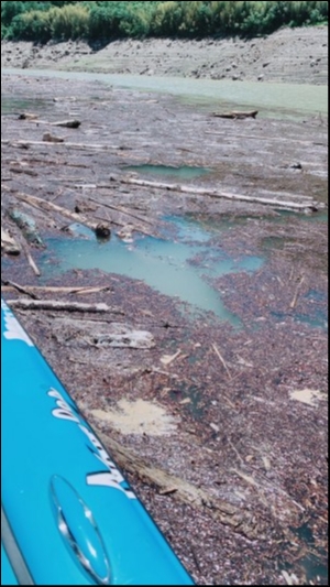 hideup 松本泰明 ブログ写真 2019/05/23