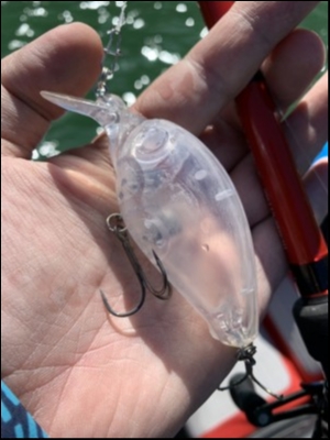 hideup 松本泰明 ブログ写真 2019/05/23