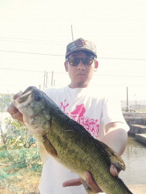 hideup 松本泰明 ブログ写真 2019/06/09