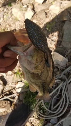 hideup 松本泰明 ブログ写真 2019/06/09