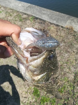 hideup 松本泰明 ブログ写真 2019/06/09