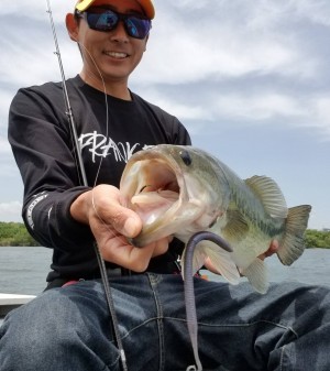 hideup 松本泰明 ブログ写真 2019/06/09