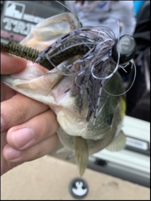 hideup 松本泰明 ブログ写真 2019/06/13