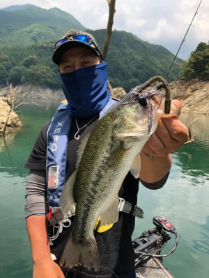 hideup 松本泰明 ブログ写真 2019/06/13