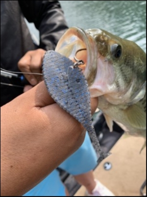 hideup 松本泰明 ブログ写真 2019/06/13