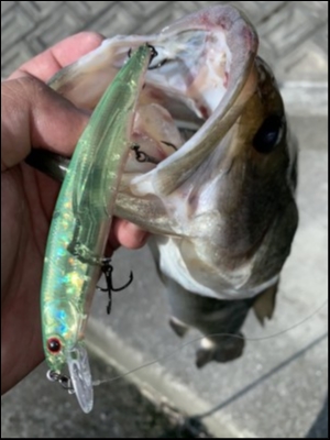 hideup 松本泰明 ブログ写真 2019/07/17