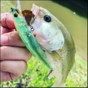 hideup 松本泰明 ブログ写真 2019/07/17