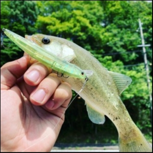 hideup 松本泰明 ブログ写真 2019/07/17