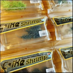 hideup 松本泰明 ブログ写真 2019/07/28