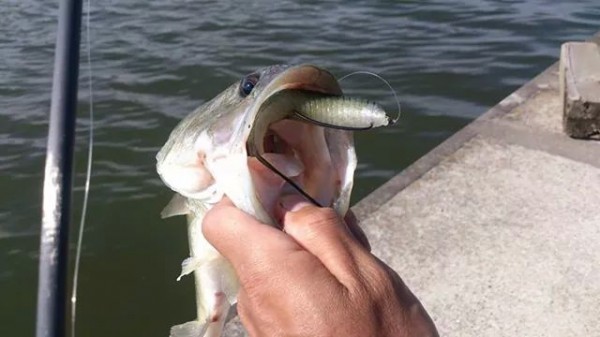 hideup 美濃島健二 ブログ写真 2014/09/23