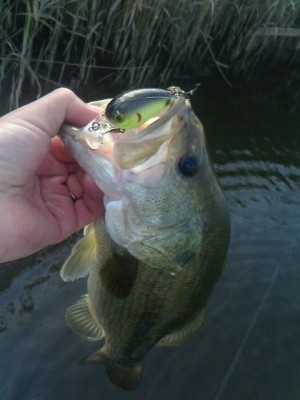 hideup 美濃島健二 ブログ写真 2014/07/10