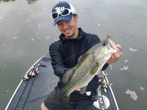 hideup 美濃島健二 ブログ写真 2015/06/27