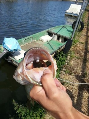 hideup 美濃島健二 ブログ写真 2014/09/23