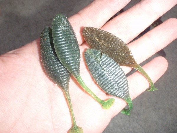 hideup 美濃島健二 ブログ写真 2013/07/06