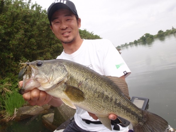 hideup 美濃島健二 ブログ写真 2013/06/02