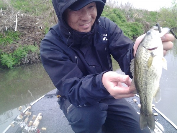 hideup 美濃島健二 ブログ写真 2015/04/11