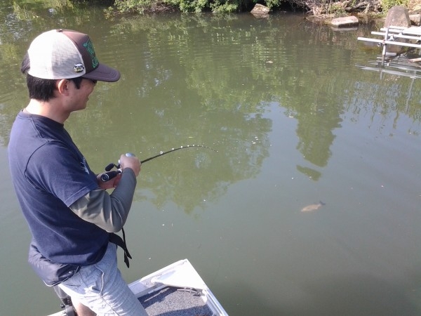 hideup 美濃島健二 ブログ写真 2015/05/30